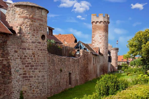 Ancien Mulhouse 101 Apartment Екстериор снимка