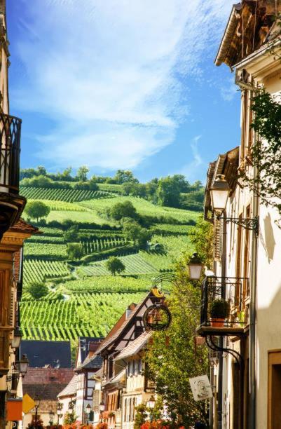 Ancien Mulhouse 101 Apartment Екстериор снимка